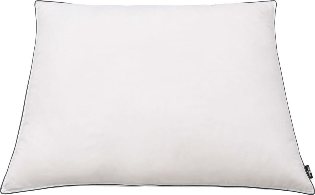 Vidaxl Kussens Licht 80x80 Cm Dons-/verenvulling 2 St - Wit