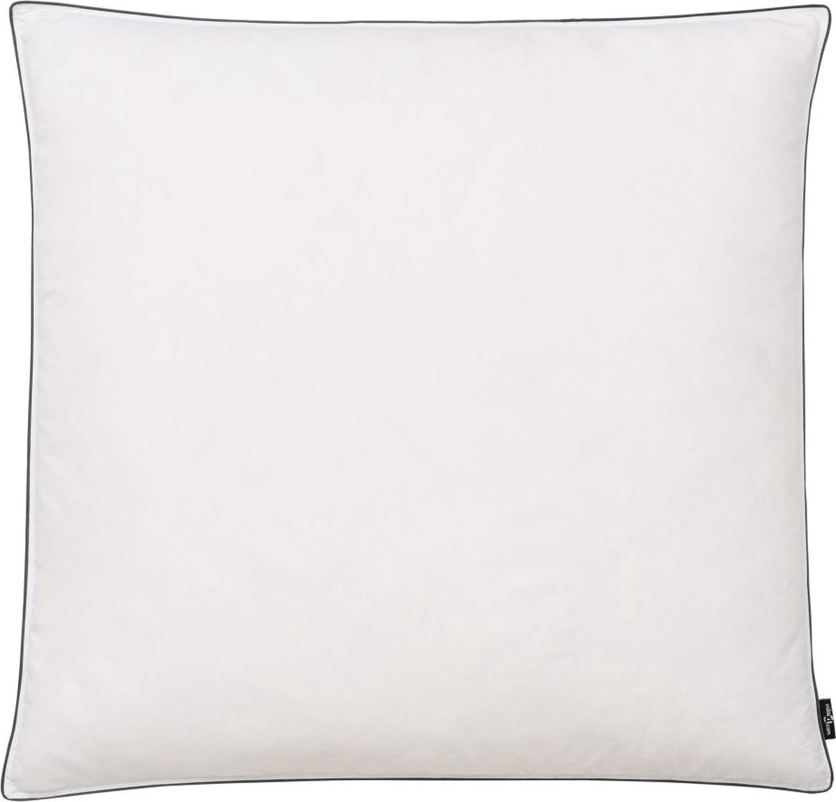 Vidaxl Kussens Licht 80x80 Cm Dons-/verenvulling 2 St - Wit