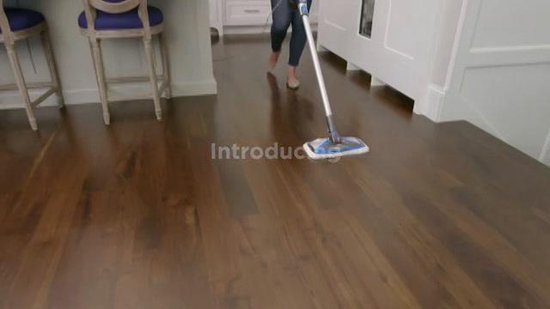 Bissell 2234n Powerfresh Slim Steam - Stoomreiniger