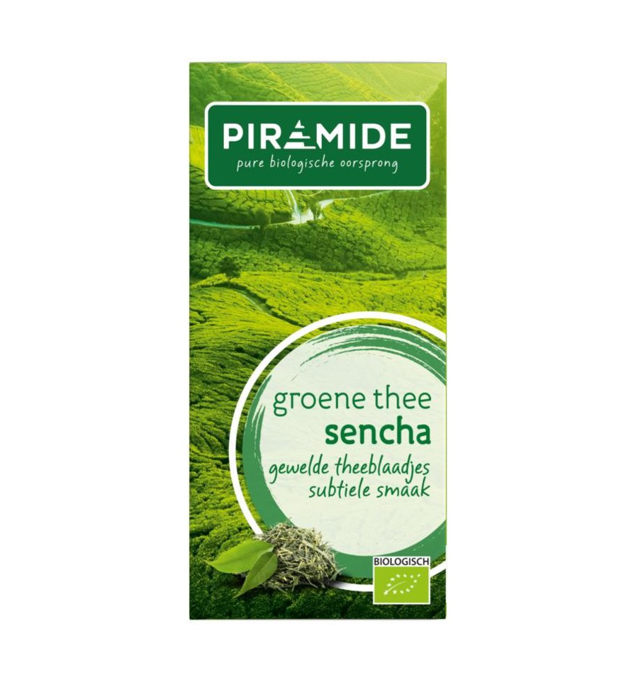 Piramide e thee sencha eko bio - Groen