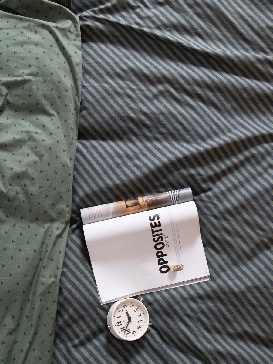 Covers & Co Dekbedovertrek No Stripes No Glory - 200 x 200/220 cm - Groen