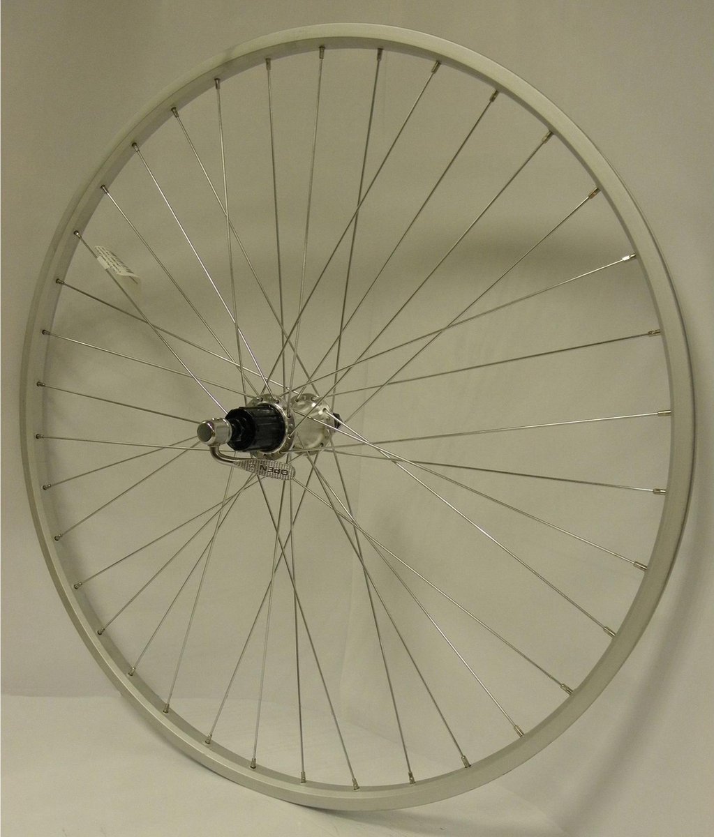Roland Achterwiel 28 X 1 5/8 X 1 3/8 Velgrem Alu 36g Zilver - Silver