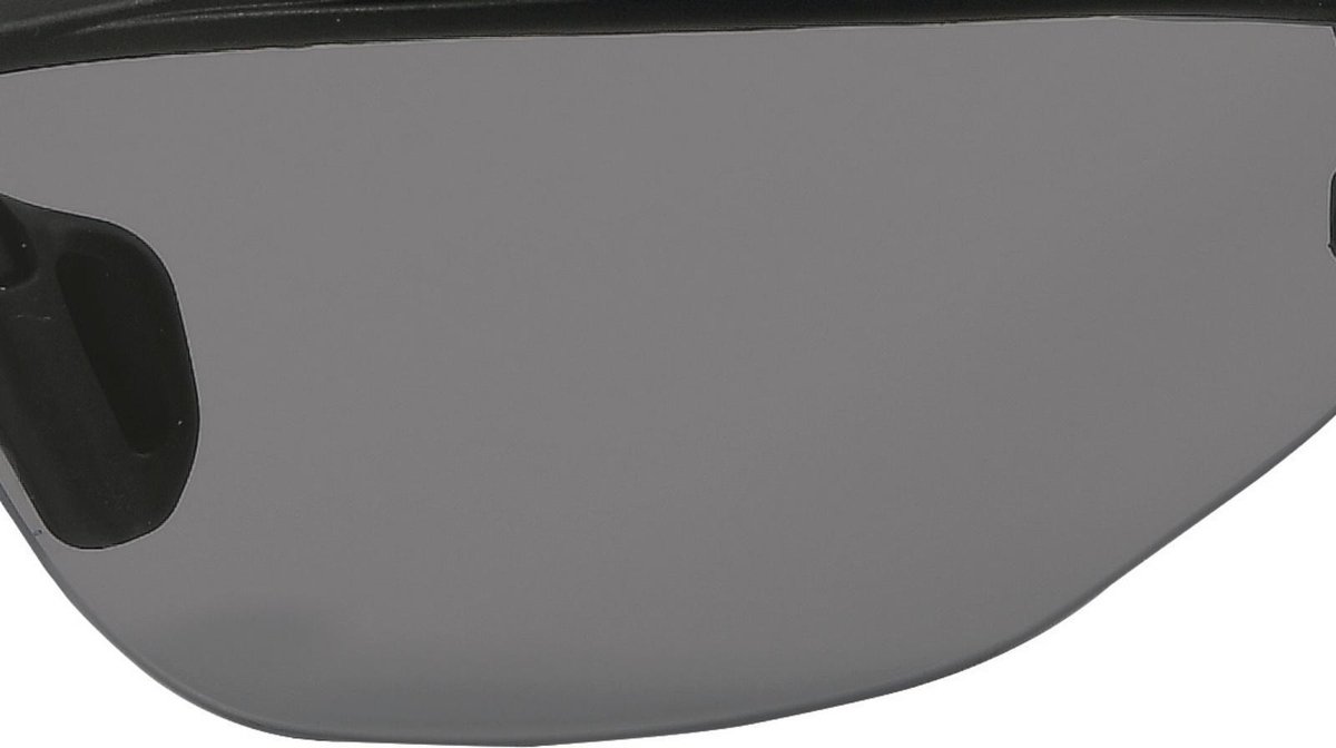 Deltaplus VEILIGHEIDSBRIL ASO2 SMOKE DONKER