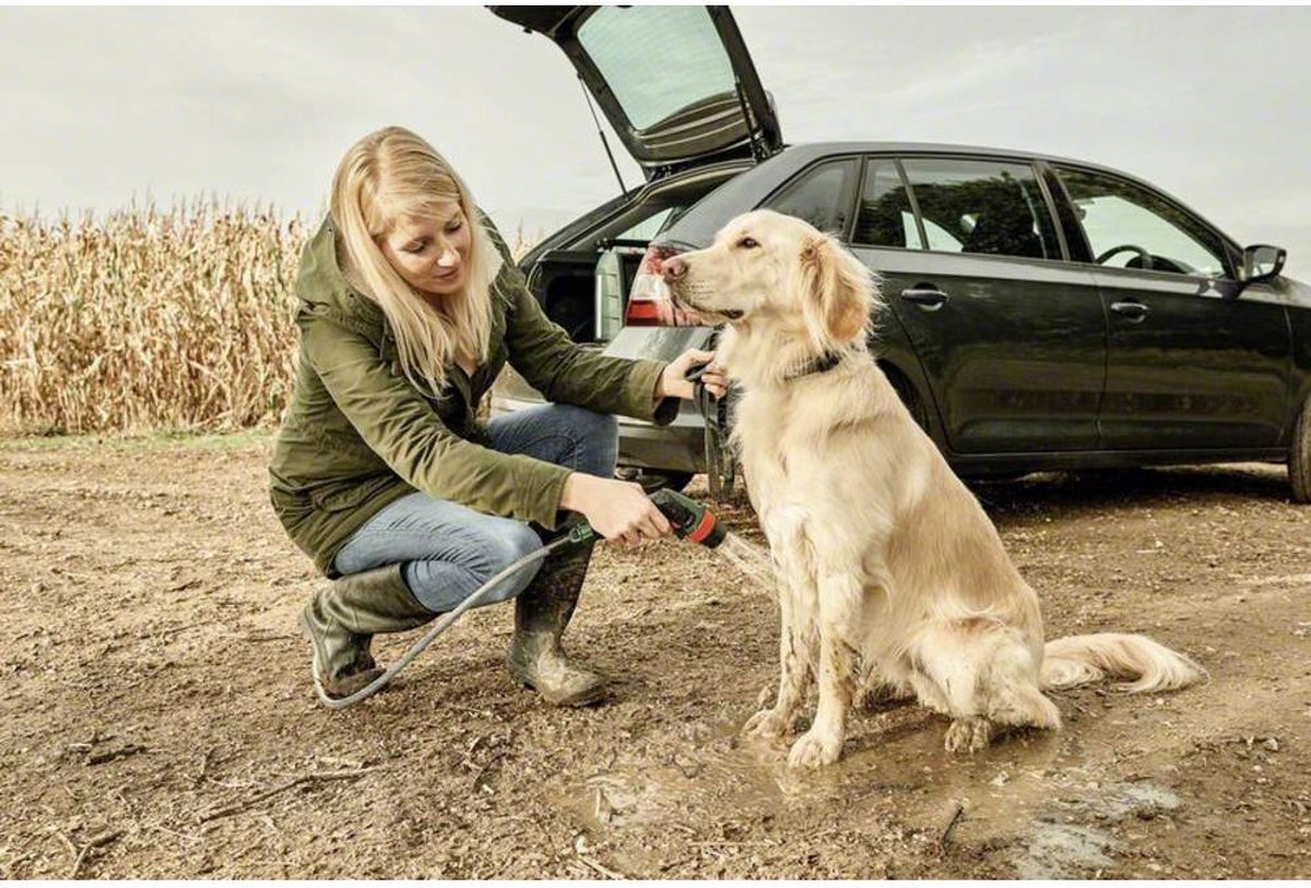 Bosch Fontus Hogedrukreiniger