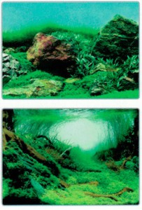 Superfish Deco Poster - Aquarium - Achterwand - 120X49 cm Aquascape Plant