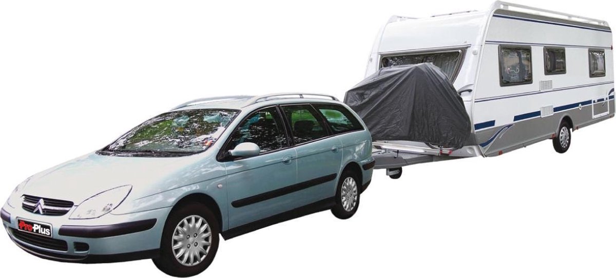 PROPLUS Fietshoes Voor 2 Fietsen Op Diss - Grijs