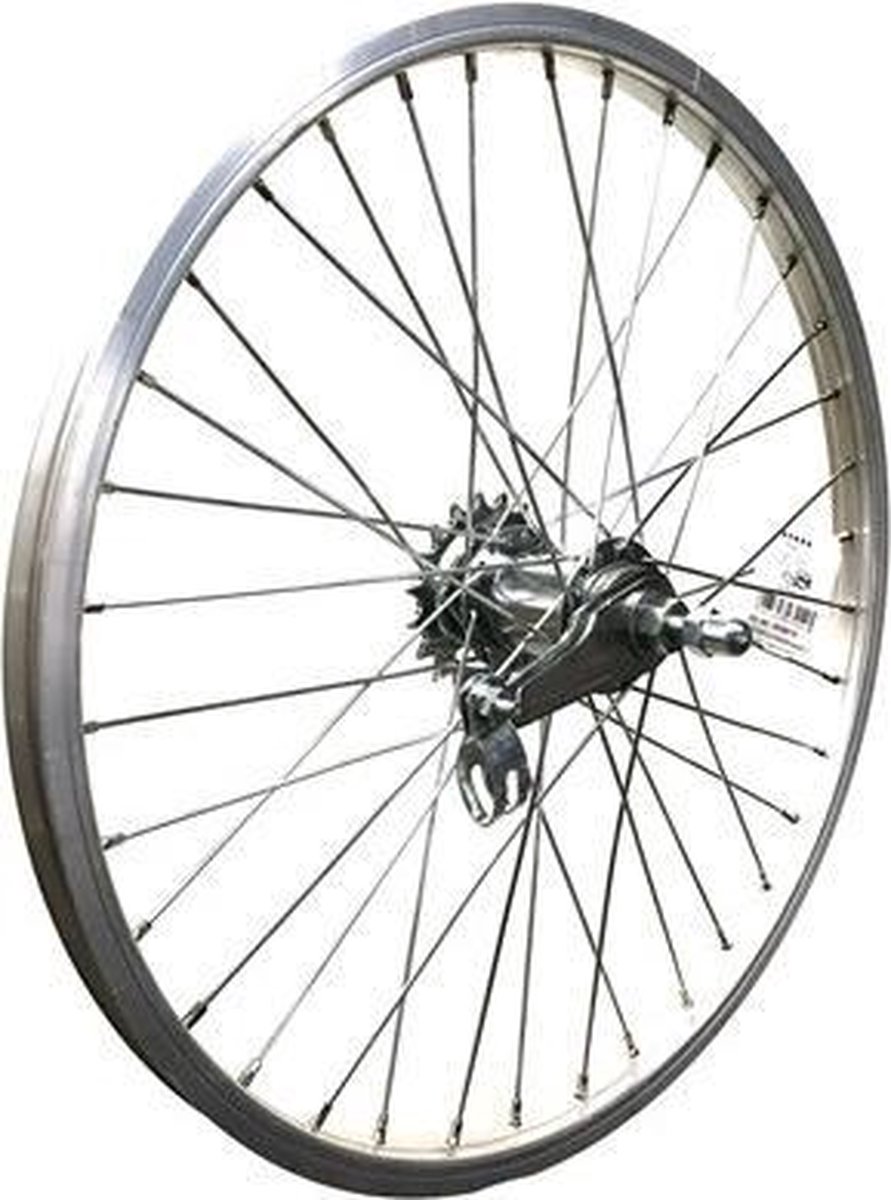 Roland Achterwiel 20 Inch (19-406) Terugtraprem Aluminium 36g - Silver
