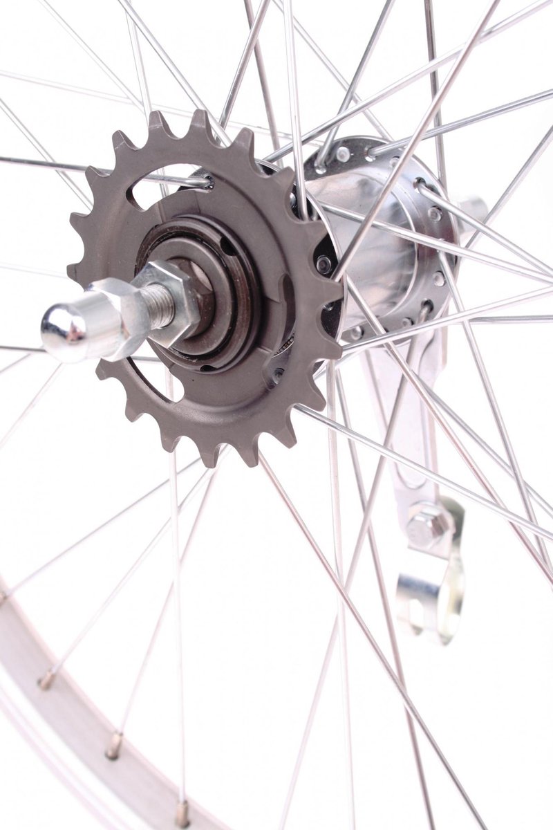 Roland Achterwiel 20 Inch (19-406) Terugtraprem Aluminium 36g - Silver