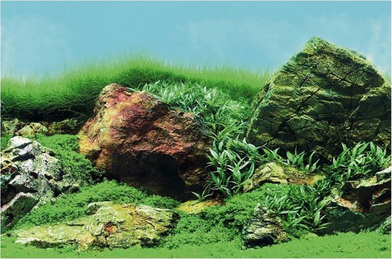 Superfish Deco Poster - Aquarium - Achterwand - 150X61 cm Aquascape Plant