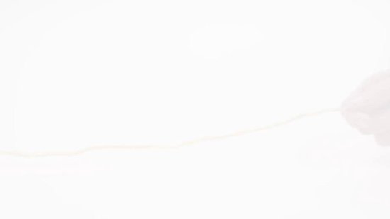 Brio Mier Met Ei 30367