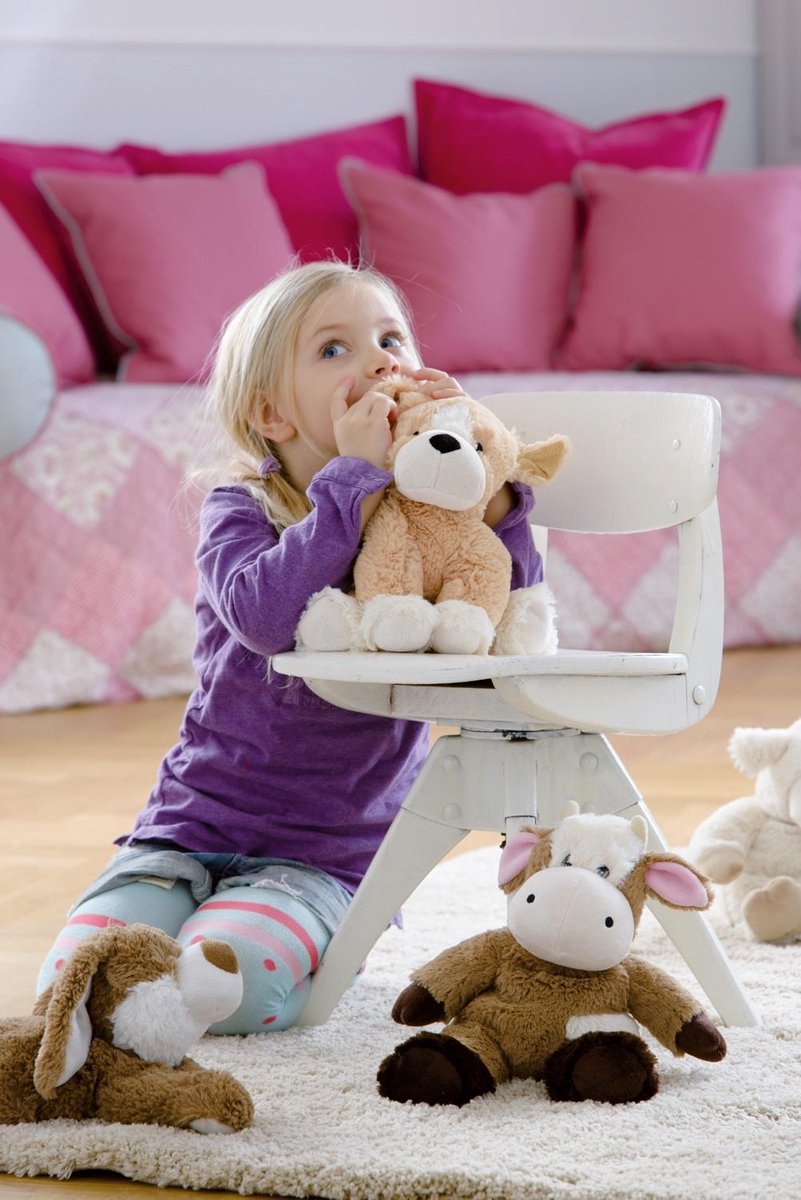 Warmies Magnetron Knuffel - Hond