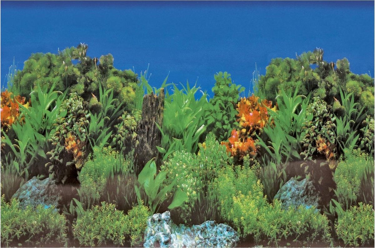 Superfish Deco Poster - Aquarium - Achterwand - 120X61 cm Rots / Plant