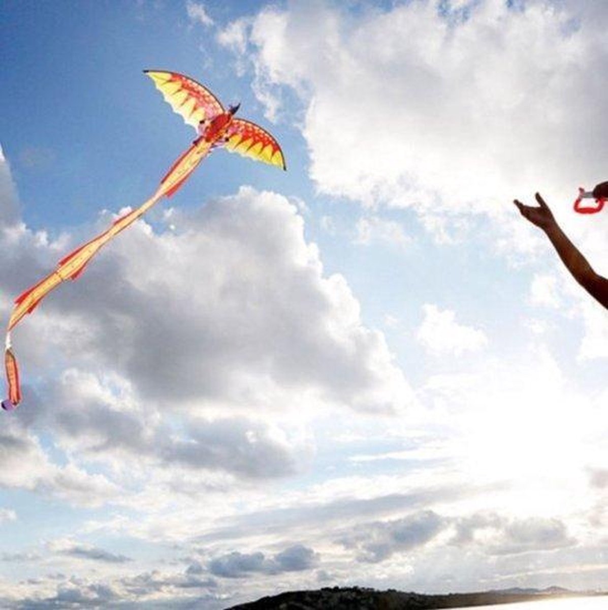 Günther Eenlijnsvlieger 3d-dragon 102 X 320 Cm/rood - Oranje