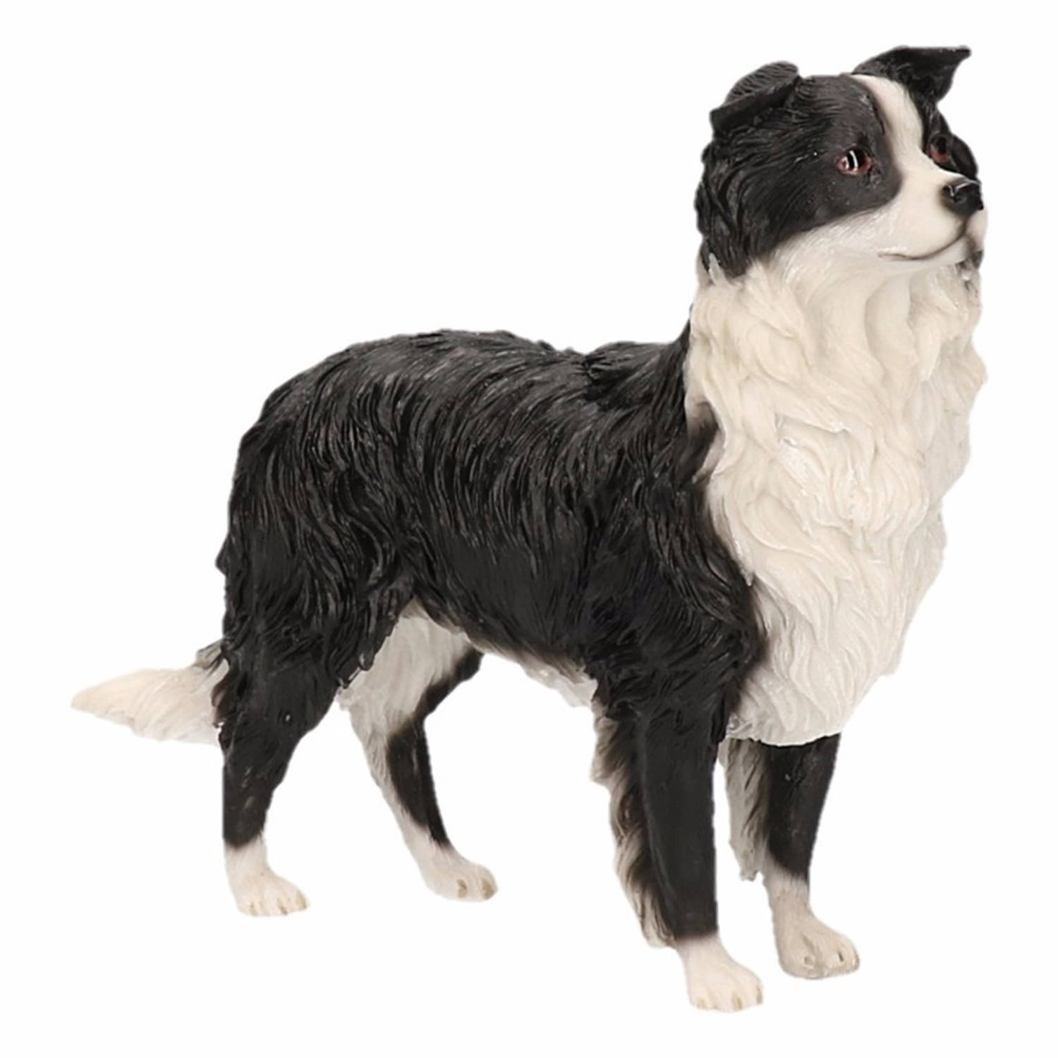 Beeldje Border Collie 14 Cm