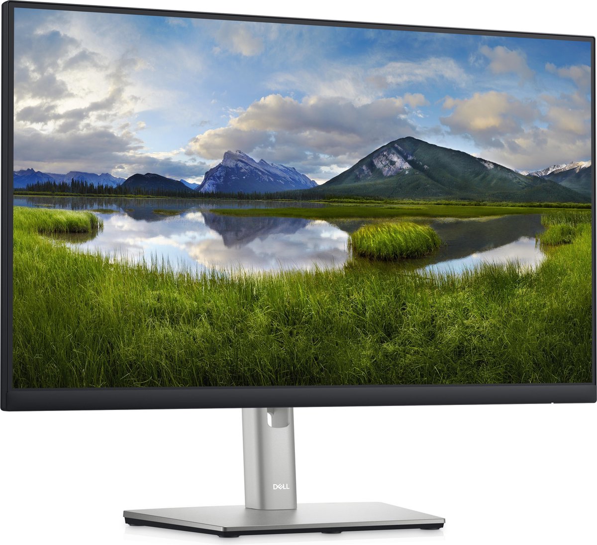 Dell P2422HE, Full HD (1080p) 1920 x 1080 bij 60 Hz, IPS, 250 cd/m², 16:9, 8 ms (grijs naar grijs normaal); 5 ms (grijs naar grijs snel)