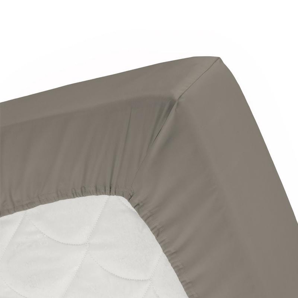 Damai Hoeslaken Multiform Funghi (Katoen)-80/90 X 220 Cm - Bruin
