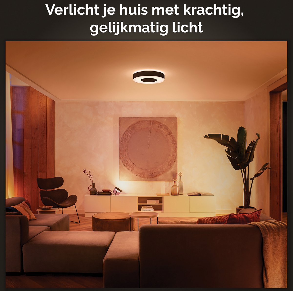 Philips Infuse Plafondlamp WACA 42 cm - Zwart