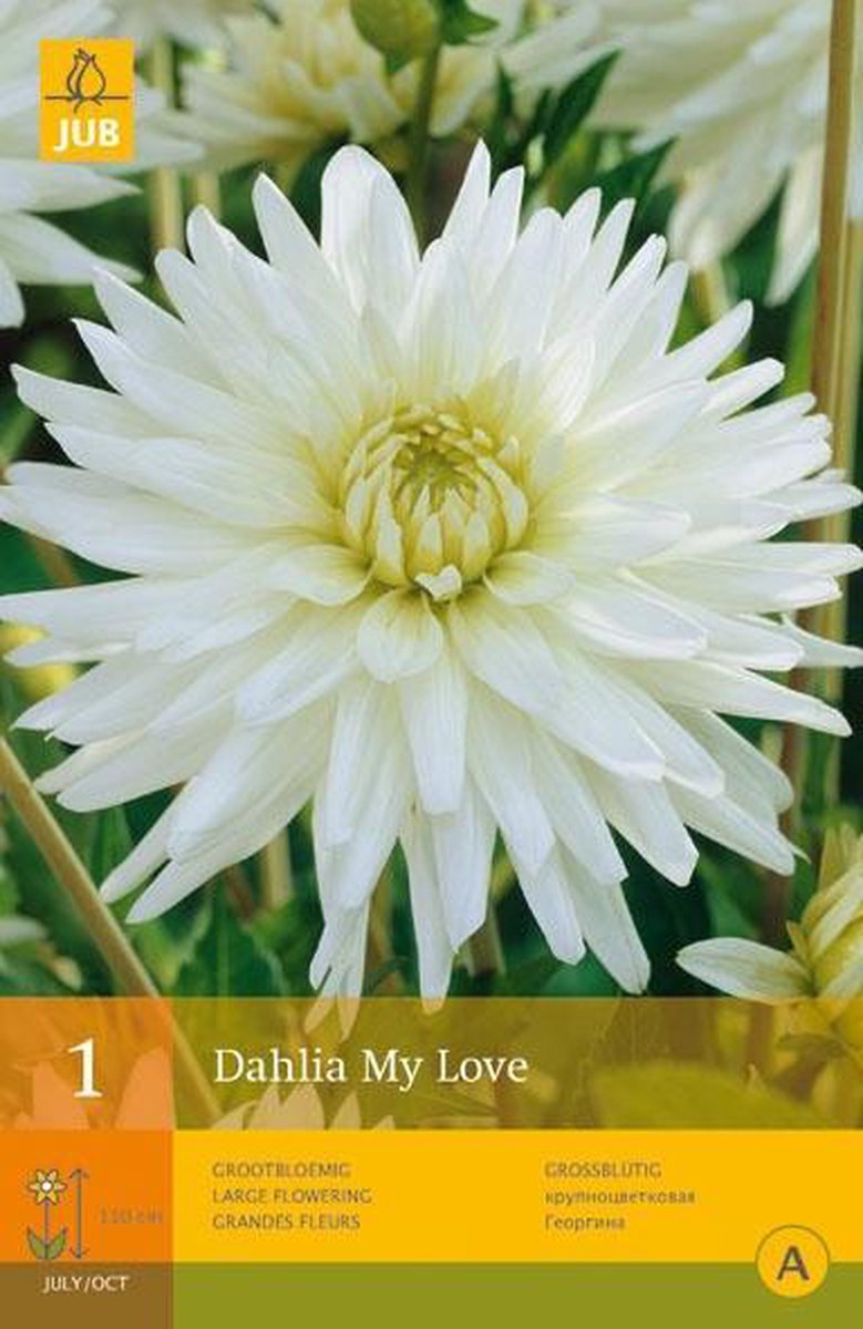 JUB Dahlia My Love Bol - 1 stuk