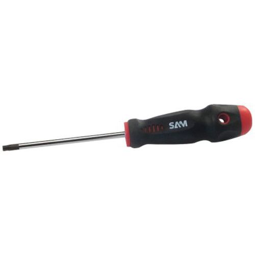 SAM Schroevendraaier Torx - Outillage