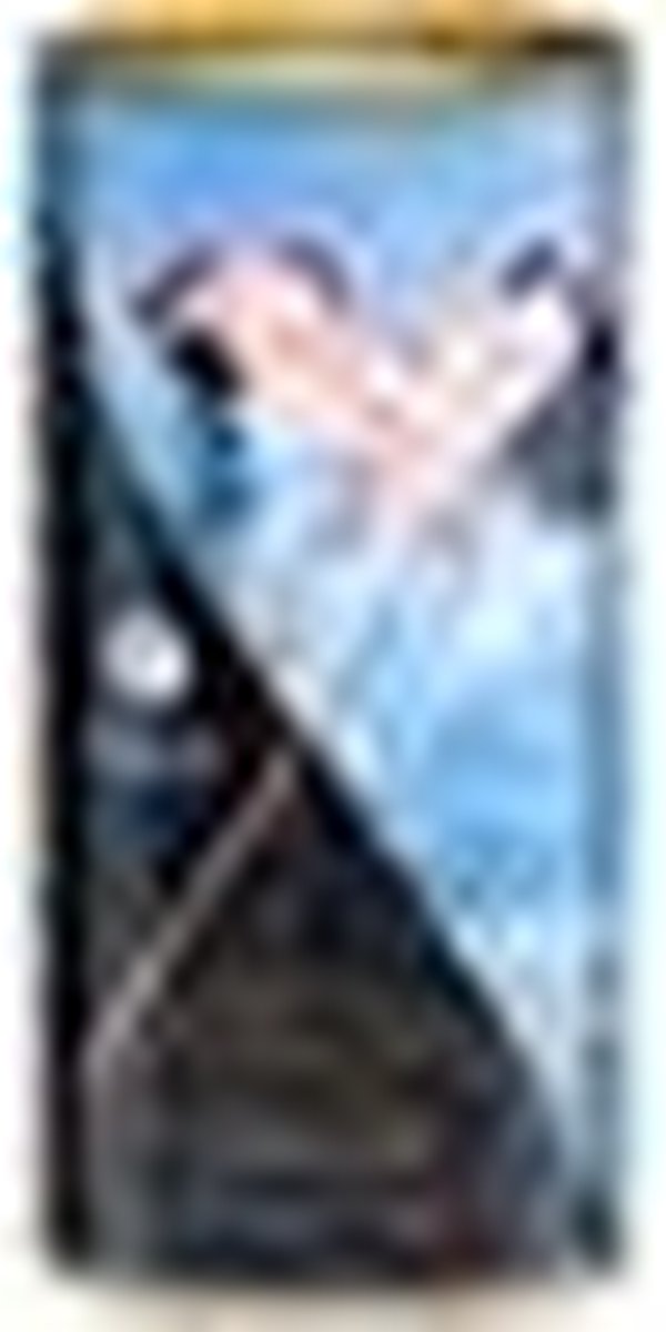 Shunga Aphrodisiac Olie