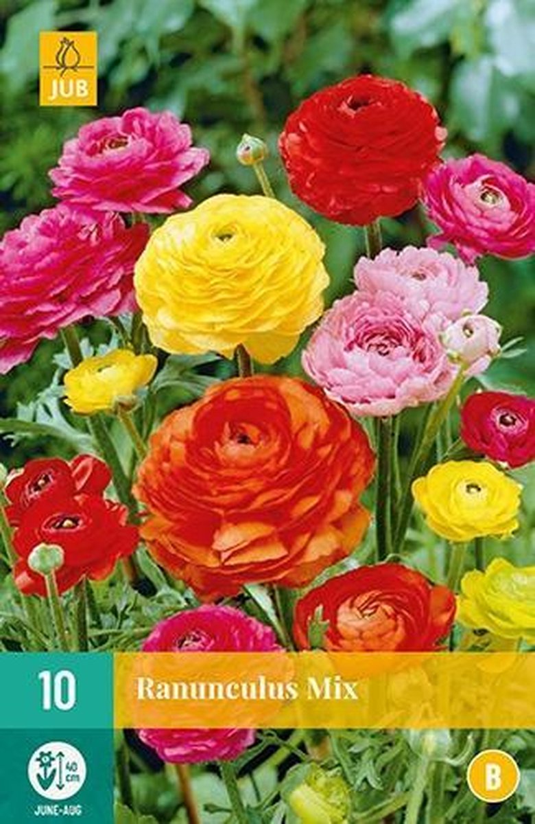 JUB Ranonkel/Ranunculus Mix Bol - 10 stuks