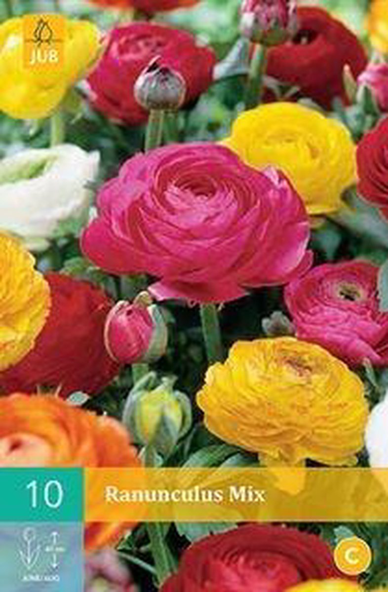 JUB Ranonkel/Ranunculus Mix Bol - 10 stuks