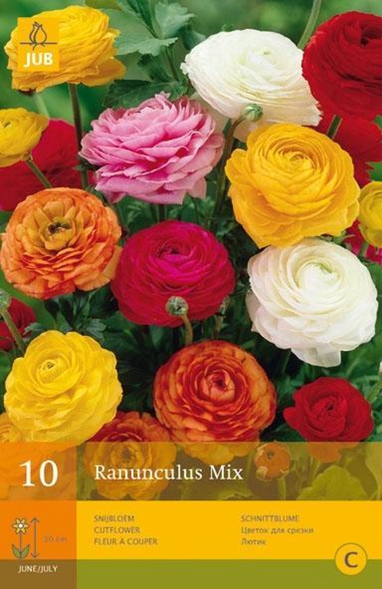 JUB Ranonkel/Ranunculus Mix Bol - 10 stuks