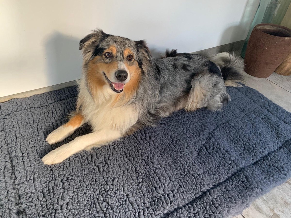 Hugglehounds Fleece Mat