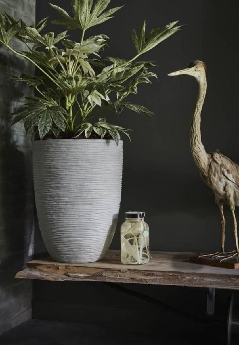 Capi Europe Vaas Eleg Laag Rib Nl 46x58 Antraciet - Zwart