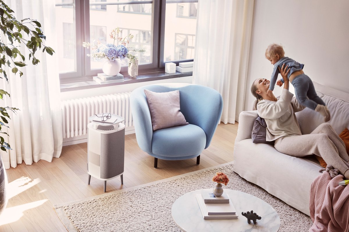 DustMagnet 5440i - Grijs