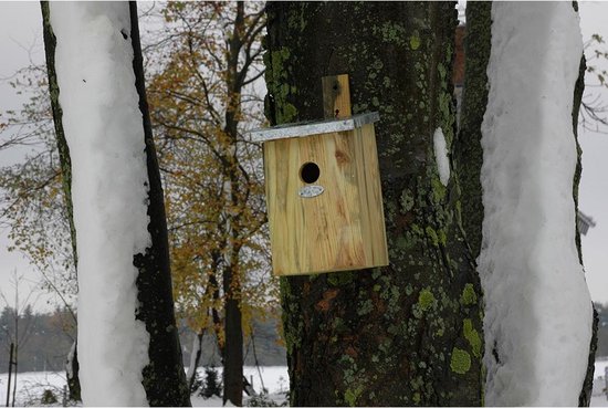 Best For Birds Spiegelnestkast - Bruin