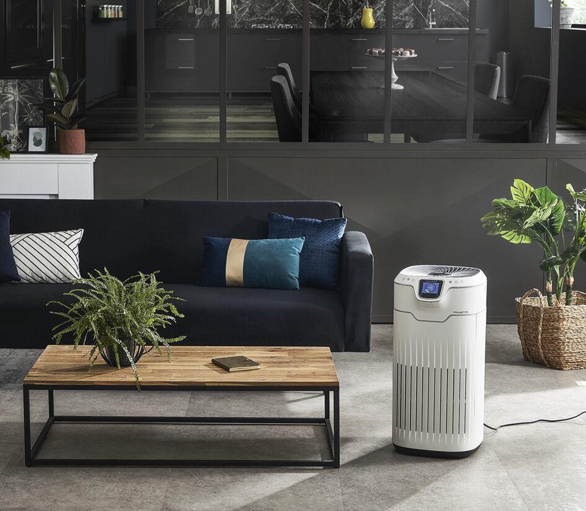 Rowenta luchtreiniger PU8080