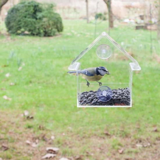 Esschert Design Voederhuisje Voor Het Raam Acryl 15x10x15,3 Cm Fb370