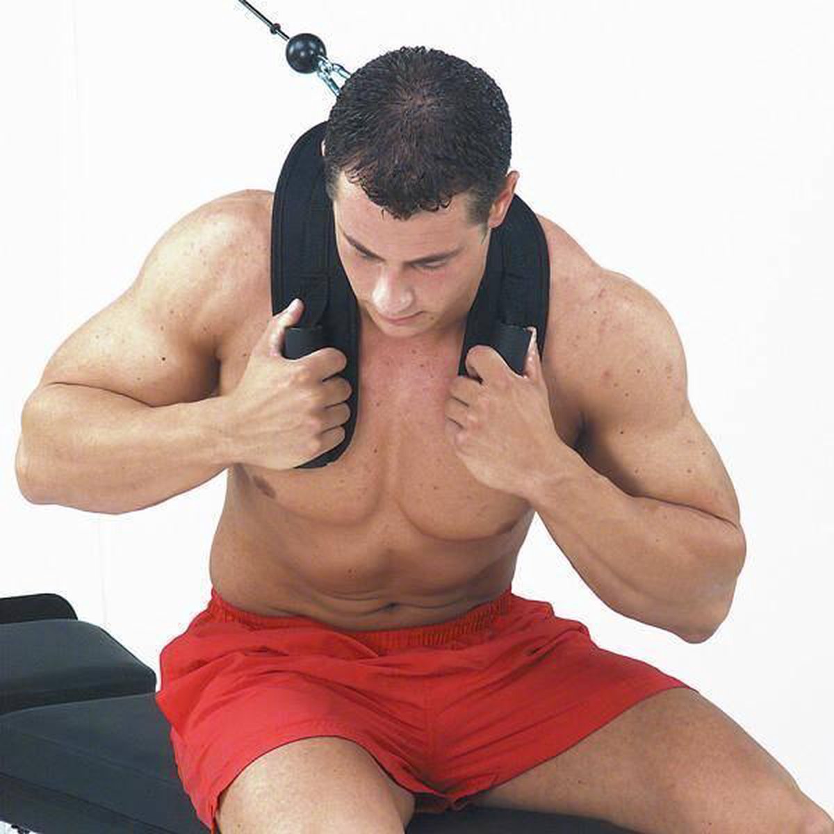 Body-Solid Ab Crunch Harness Ach18