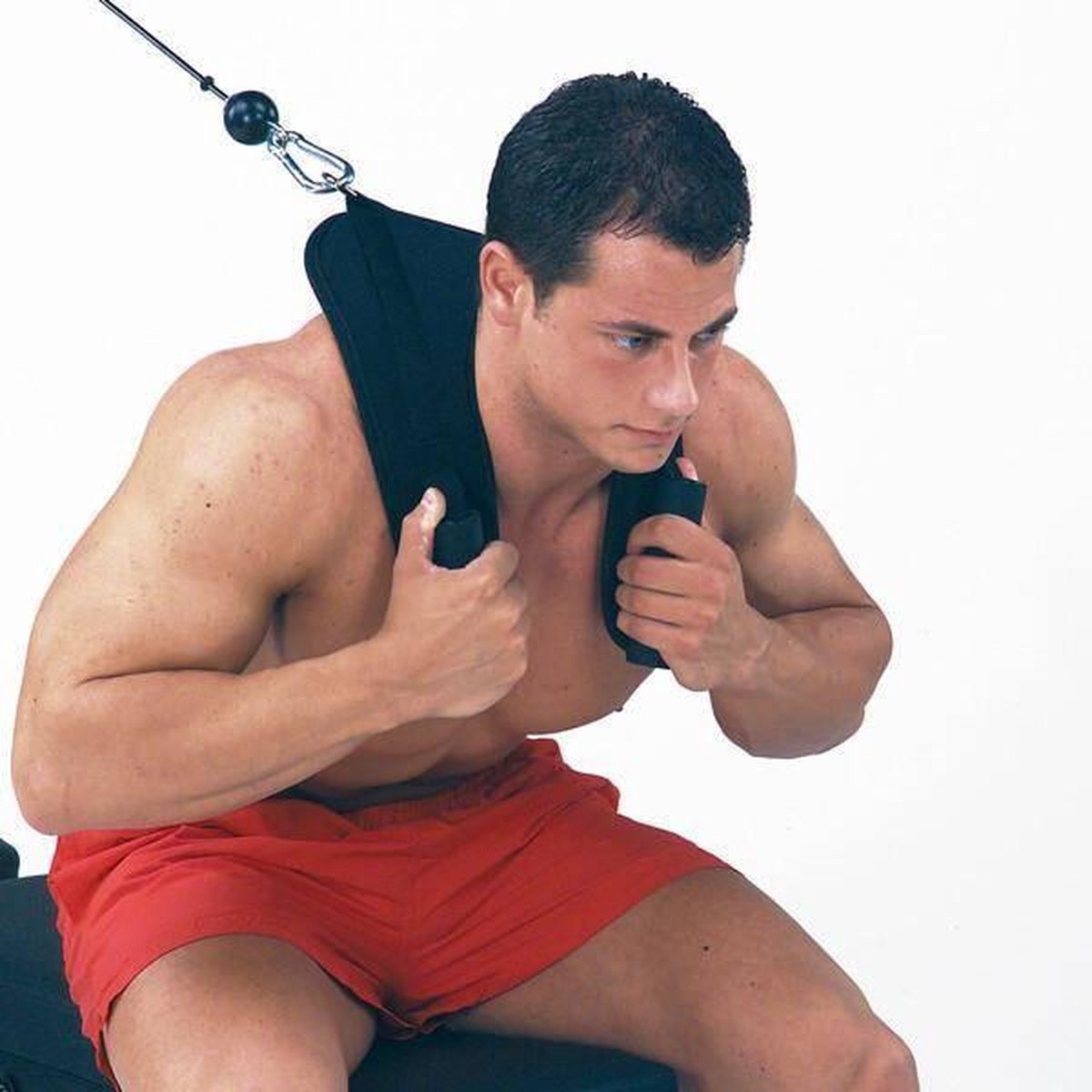Body-Solid Ab Crunch Harness Ach18