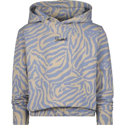 Raizzed Sweater - Blauw