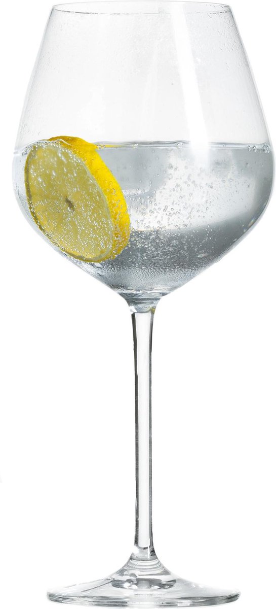 Schott Zwiesel - Fortissimo Bourgogne Doos 6 Glazen