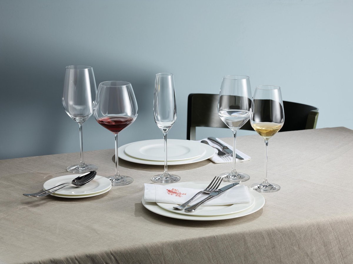 Schott Zwiesel - Fortissimo Bourgogne Doos 6 Glazen