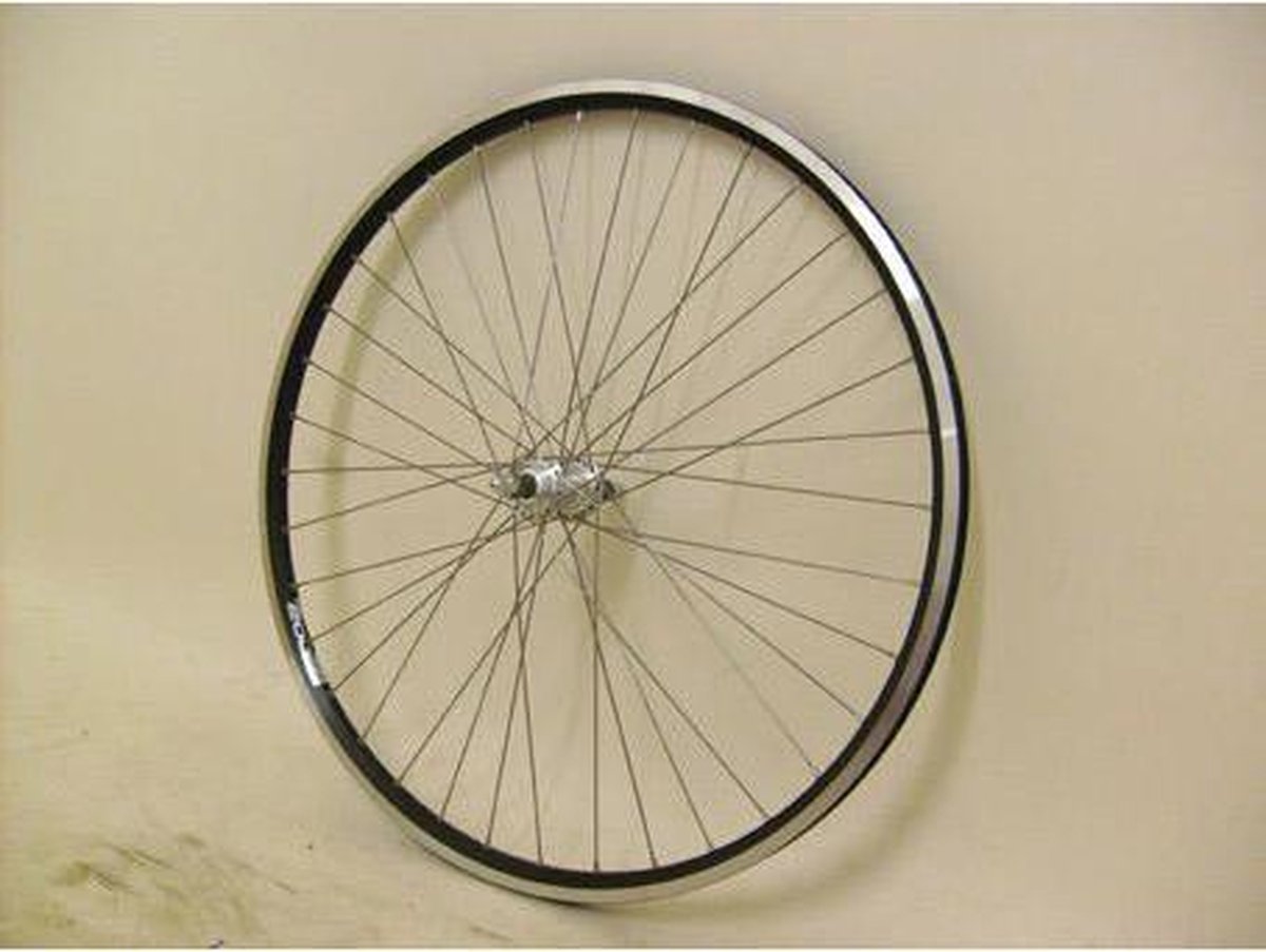 Roland Achterwiel 28 Inch Zac2000 Rvs - Zwart