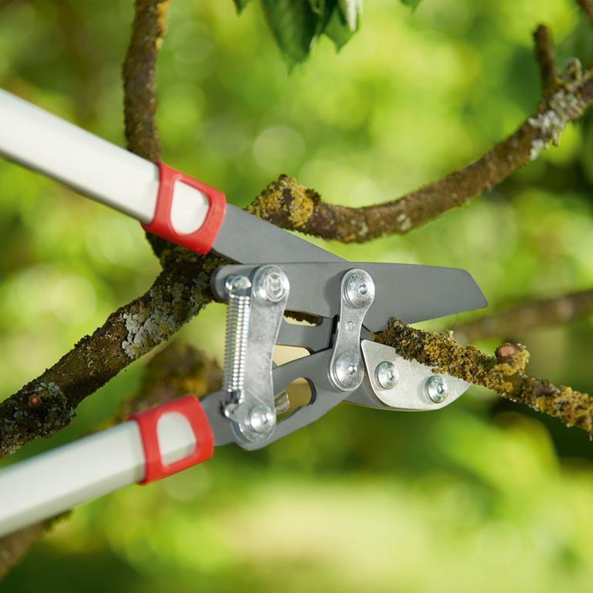 WOLF-Garten Power Cut Rs 800 V - Rood