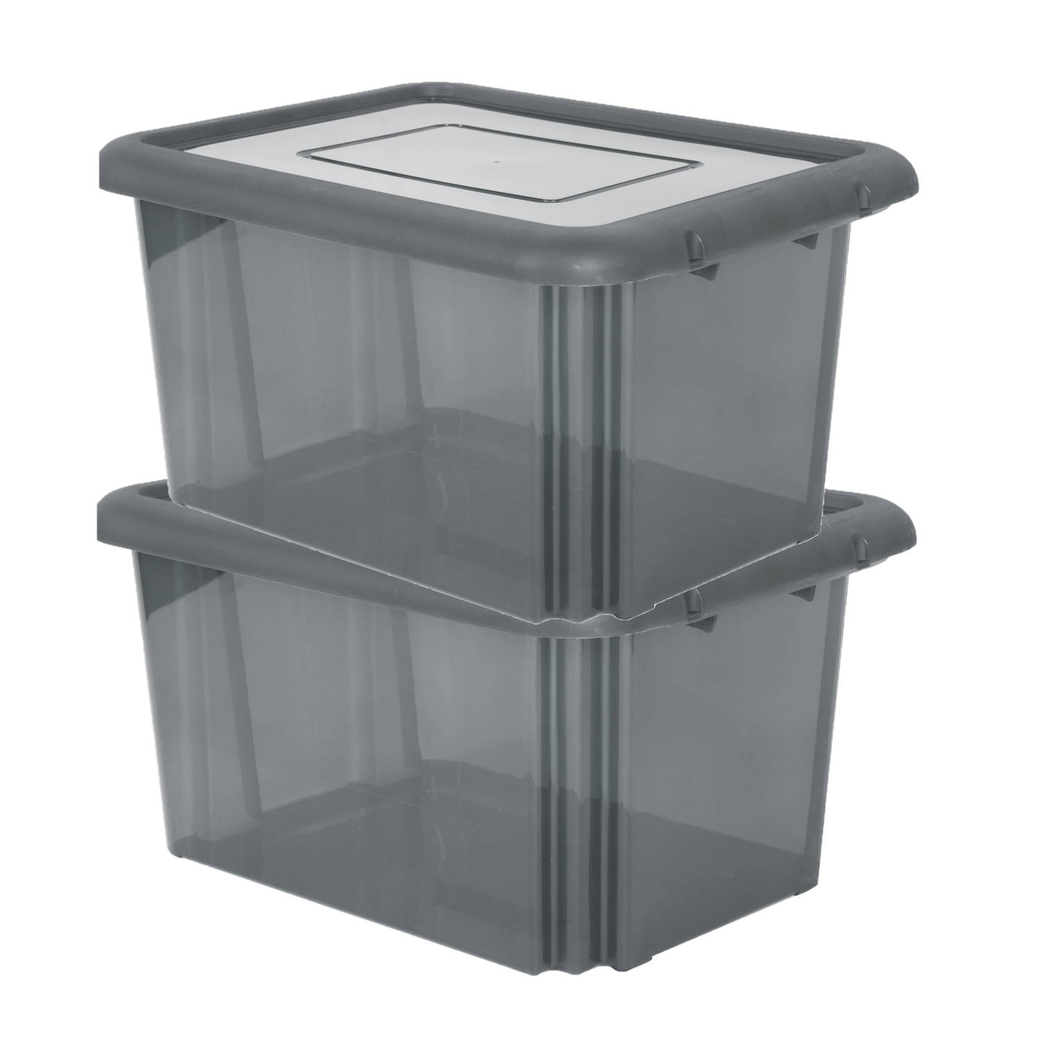 2x Stuks Kunststof Opbergboxen/opbergdozen Transparant L58 X B44 X H31 Cm - Opbergbox - Grijs