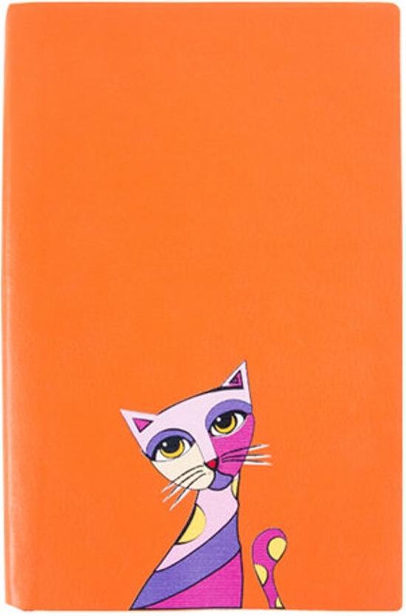 Biggdesign Owl And City Notitieboekje - Hard Cover - Notitieboek - 13x21 Cm