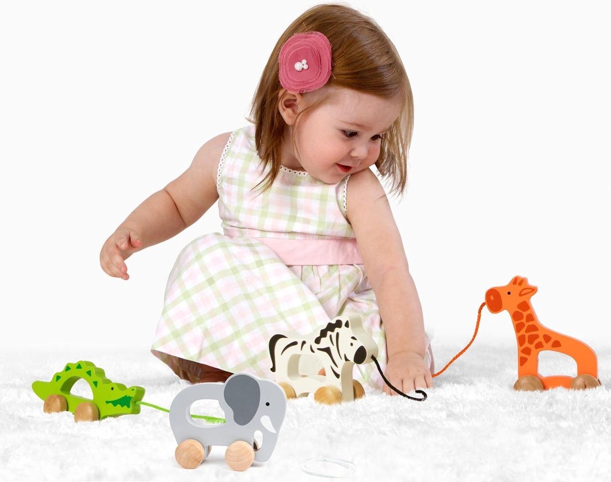 Hape Houten Duw & Rol Olifant - Grijs