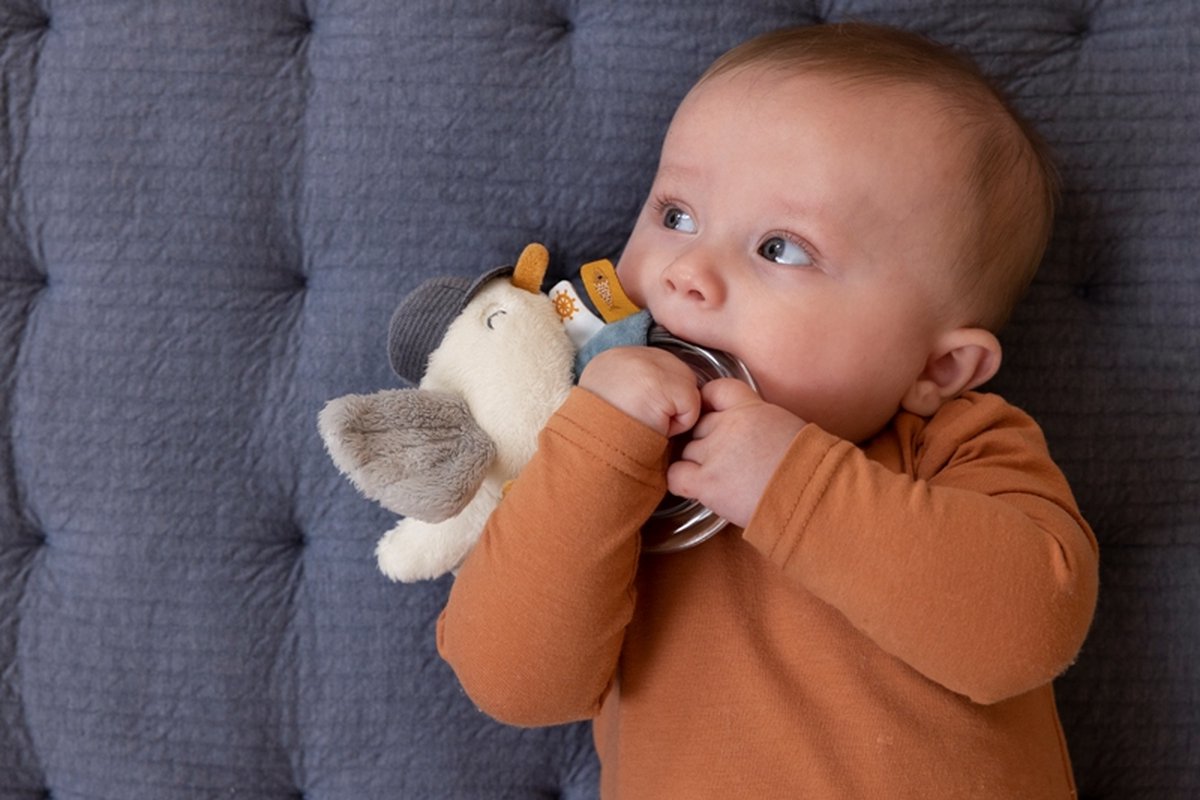 Tiamo Little Dutch Ringrammelaar Sailors Bay