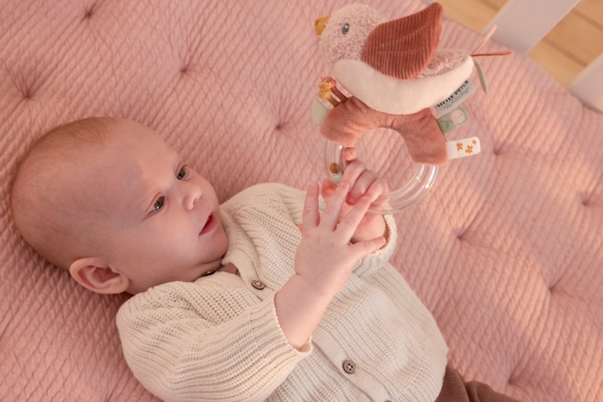 Tiamo Little Dutch Ringrammelaar Flowers & Butterflies - Roze