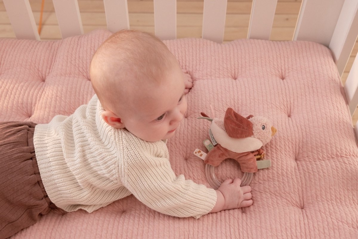 Tiamo Little Dutch Ringrammelaar Flowers & Butterflies - Roze