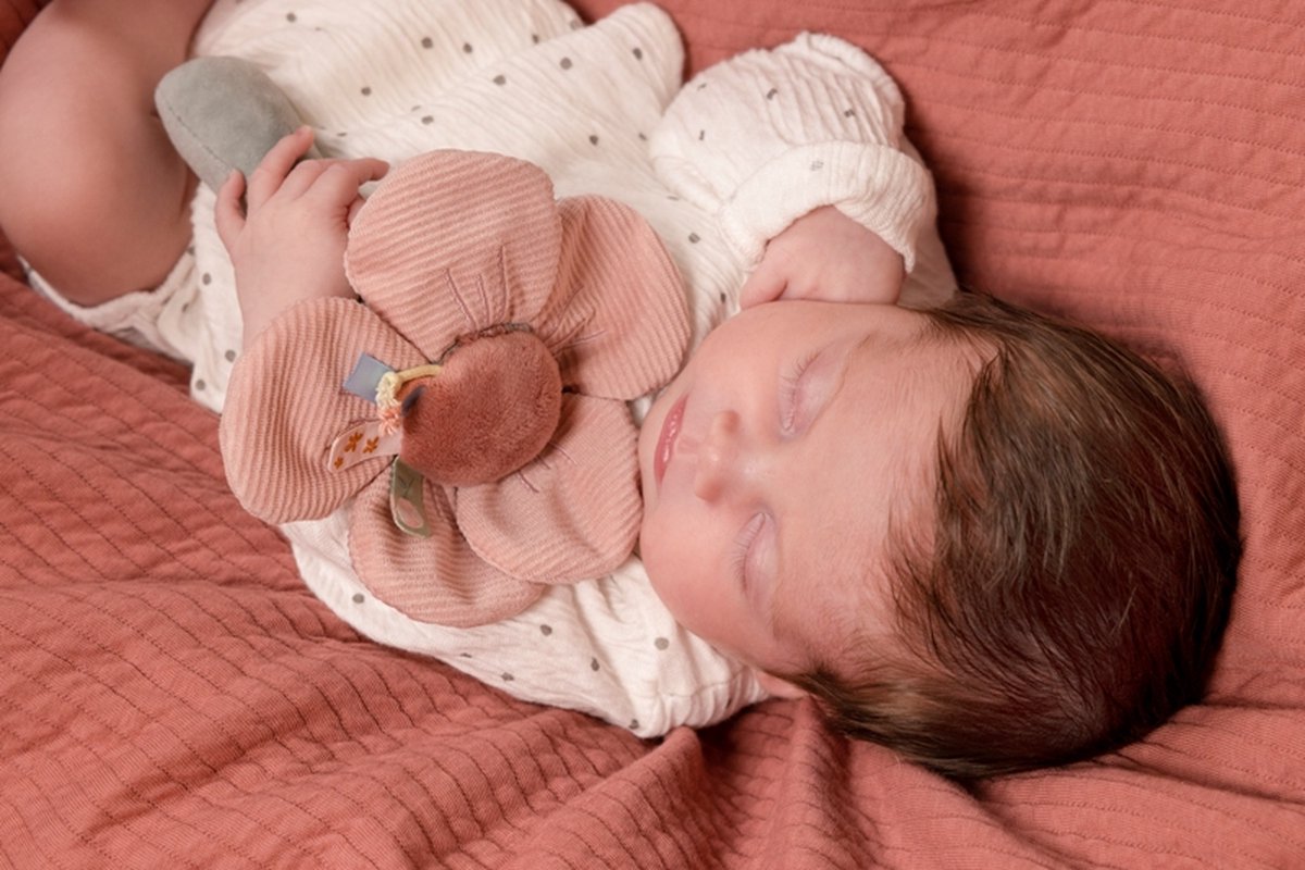 Tiamo Little Dutch Rammelaar Bloem Flowers & Butterflies