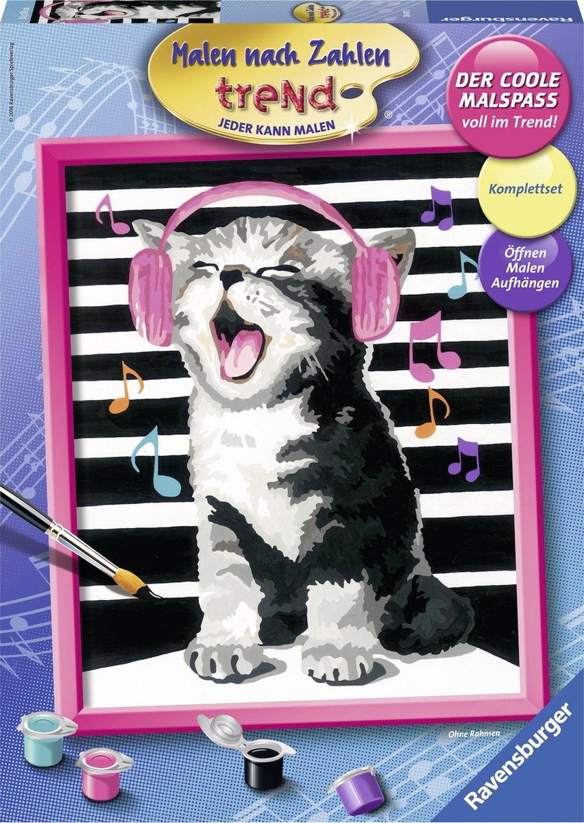 Ravensburger Schilder Op Nummer Zingende Kat