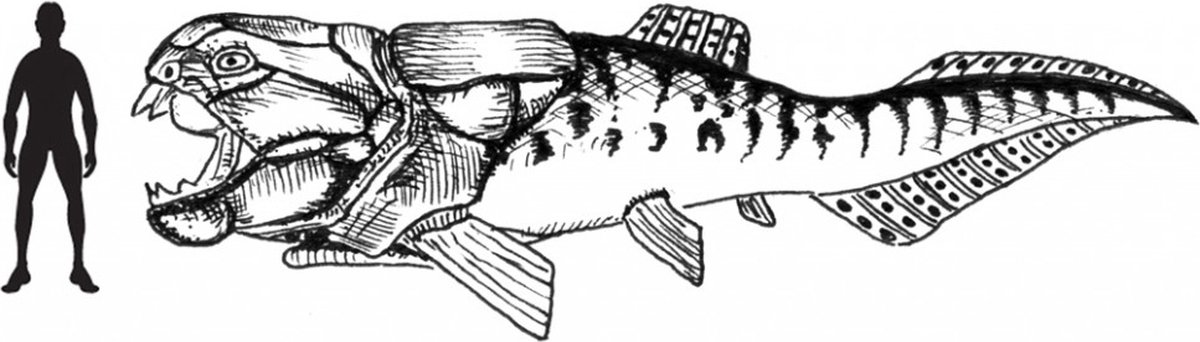 Schleich Dunkleosteus 14575 - Bruin