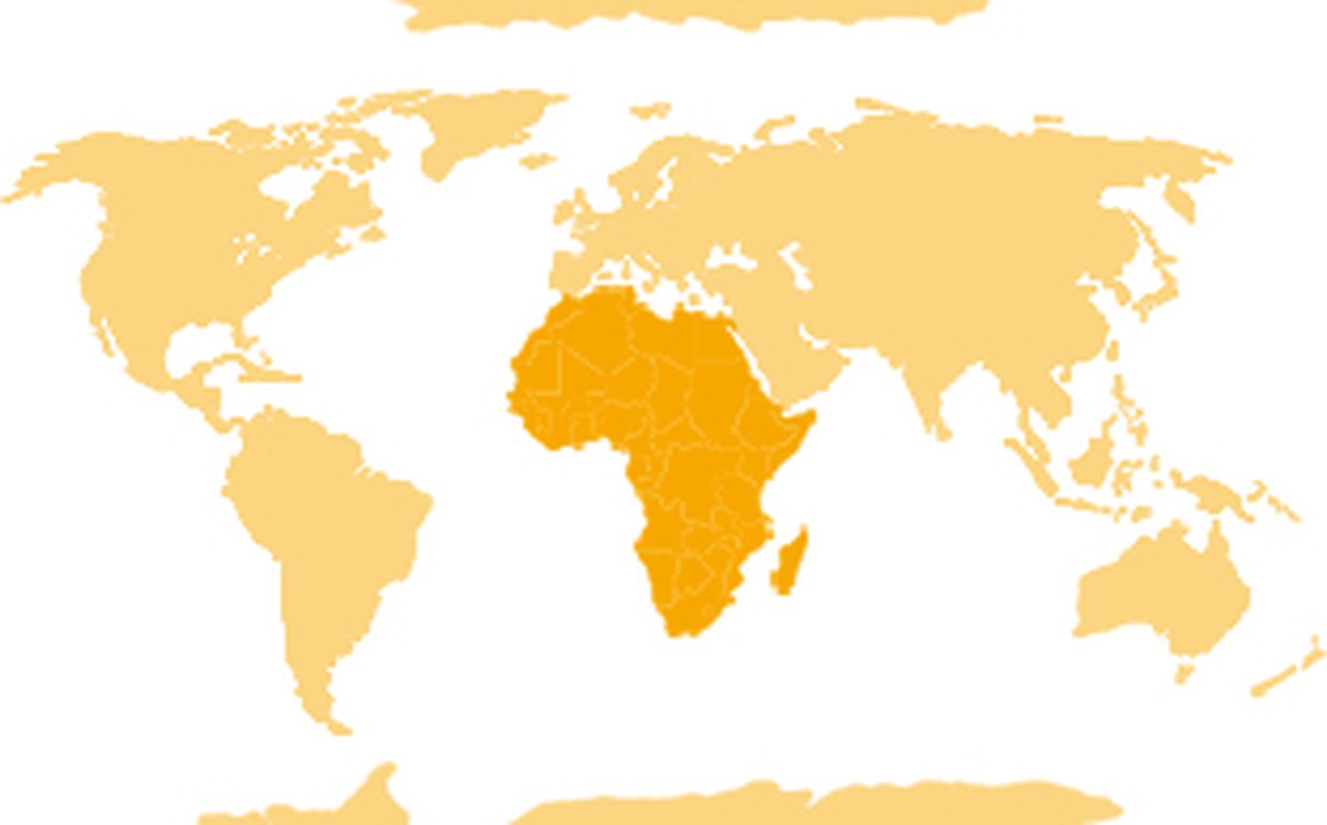 Schleich Giraffe Mannetje 14749 - Bruin